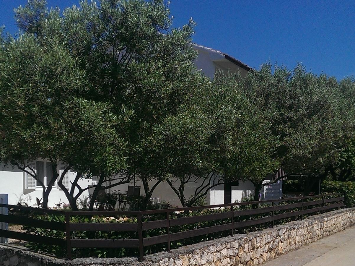 Nevena Apartments Kožino Exterior foto